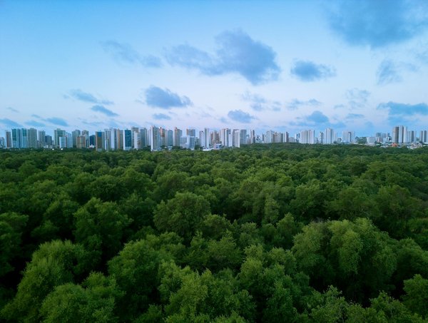 Éveillez la créativité de votre enfant avec un appareil photo !