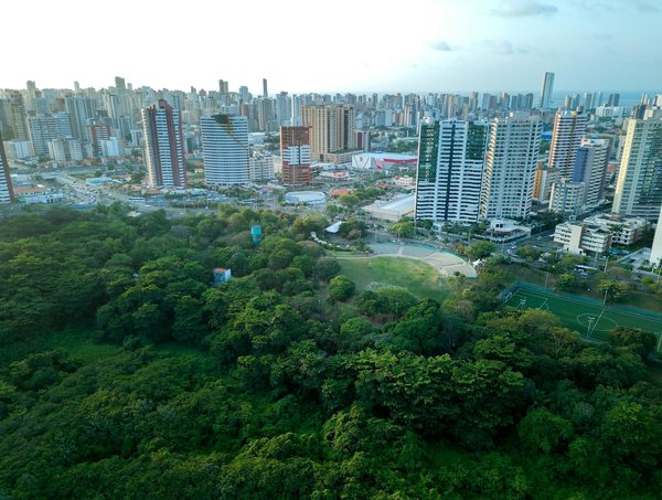 Optimisez votre habitat : conseils pratiques et innovants