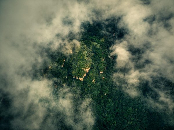 Choisir le Commerce Équitable: La Consommation Responsable et Engagée